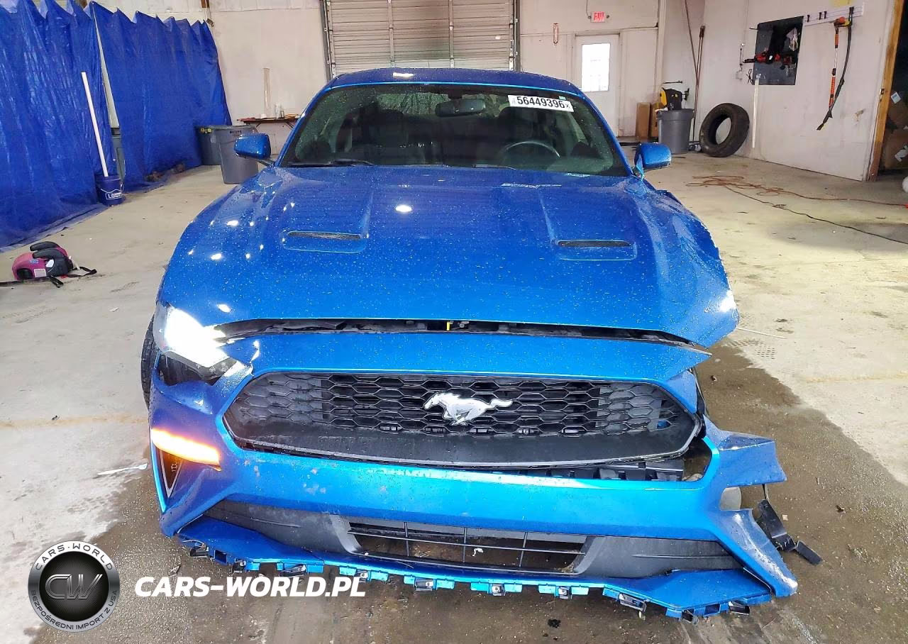 2019 Ford Mustang VIN:1FA6P8TH9K5161075 - 5