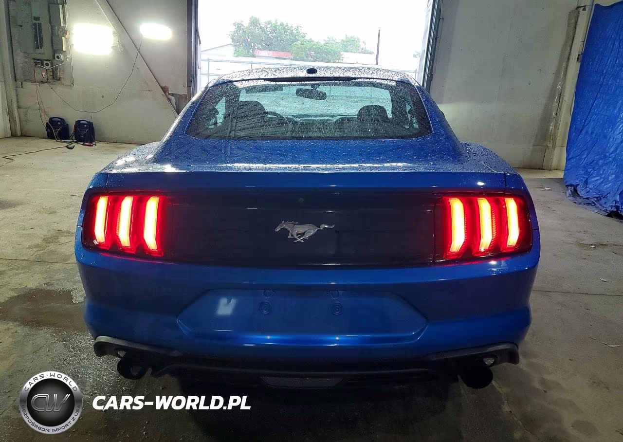 2019 Ford Mustang VIN:1FA6P8TH9K5161075 - 6