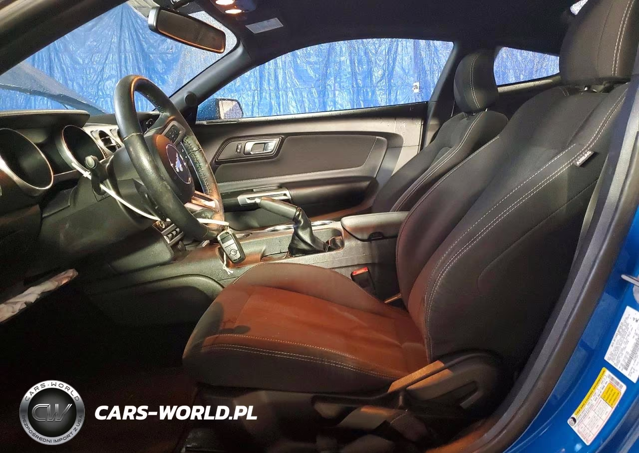 2019 Ford Mustang VIN:1FA6P8TH9K5161075 - 7