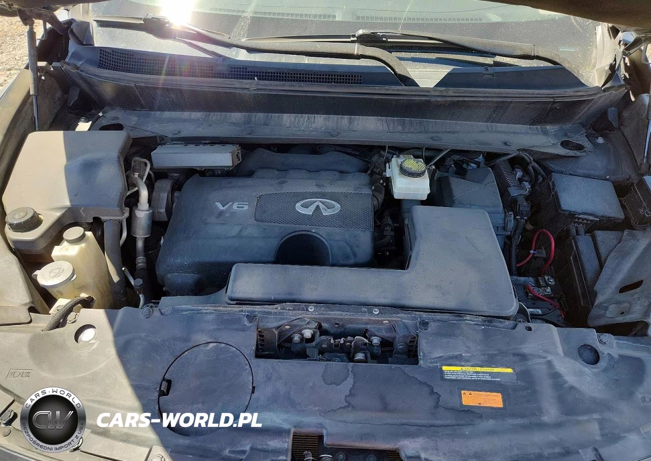2019 Infiniti Qx60 Pure VIN:5N1DL0MN2KC555687 - 11