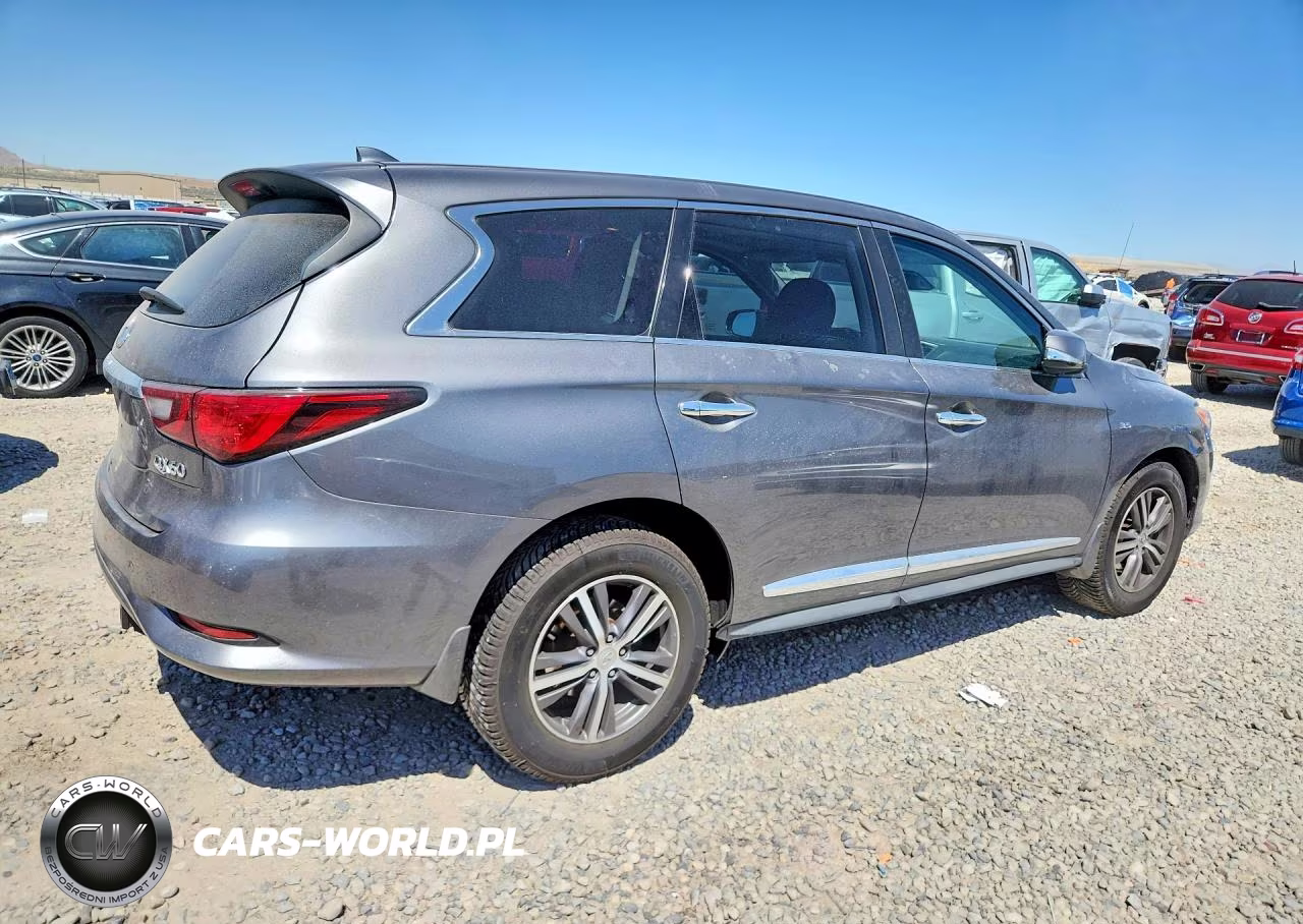 2019 Infiniti Qx60 Pure VIN:5N1DL0MN2KC555687 - 3