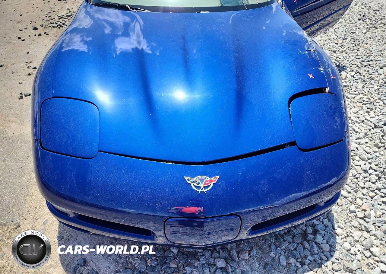 2004 Chevrolet Corvette VIN:1G1YY32G645114576 - 11