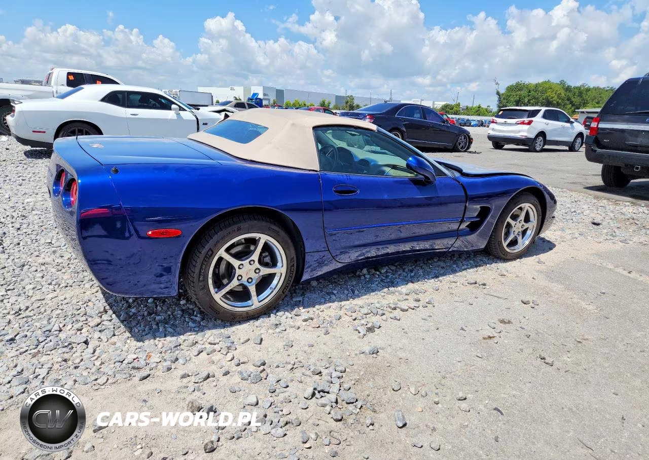 2004 Chevrolet Corvette VIN:1G1YY32G645114576 - 3