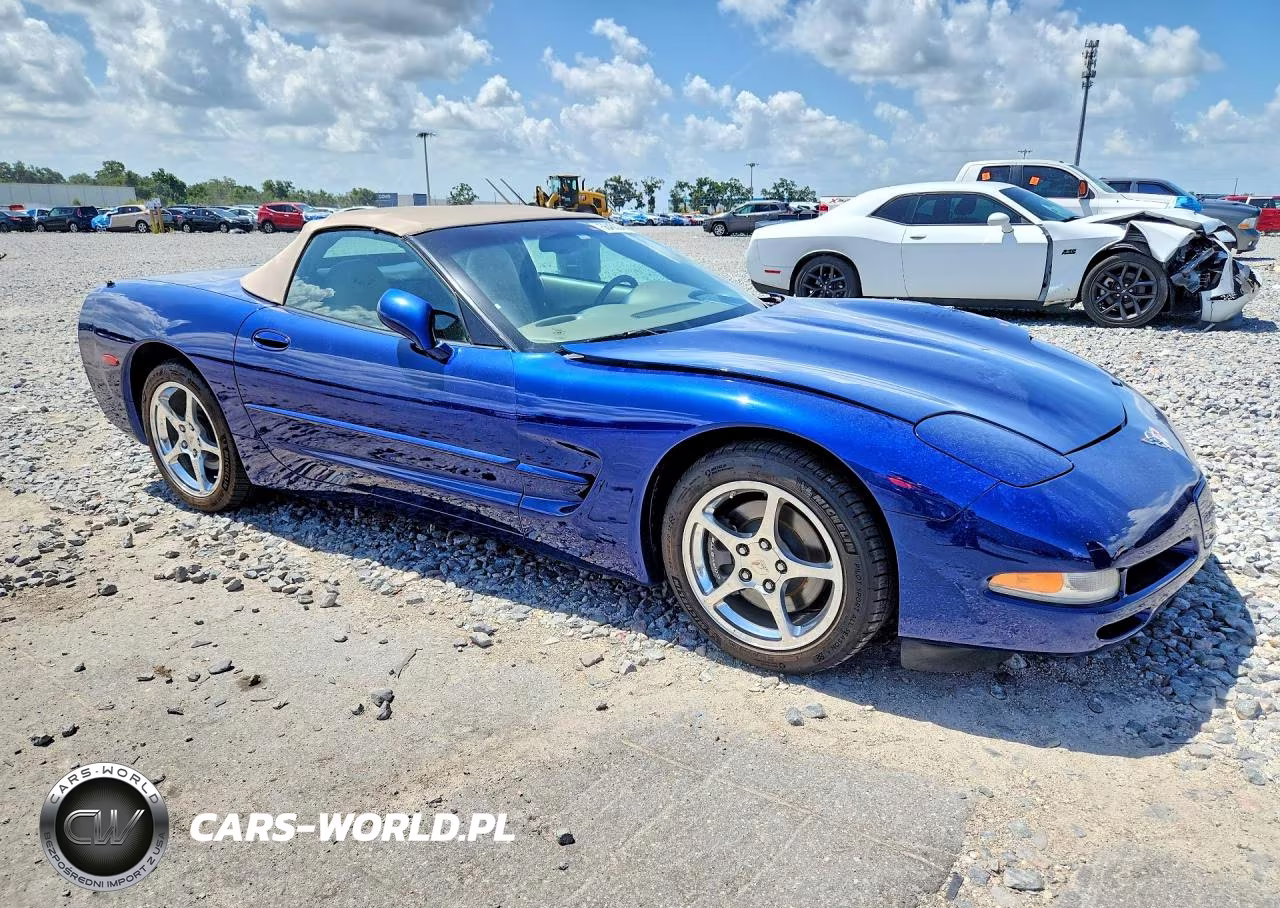 2004 Chevrolet Corvette VIN:1G1YY32G645114576 - 4