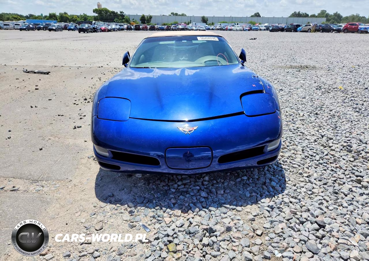 2004 Chevrolet Corvette VIN:1G1YY32G645114576 - 5