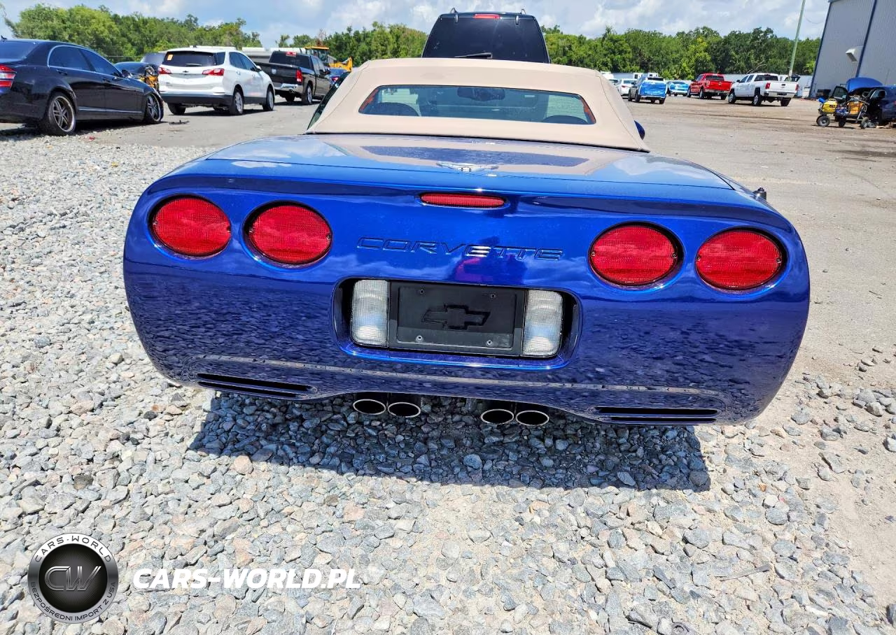2004 Chevrolet Corvette VIN:1G1YY32G645114576 - 6