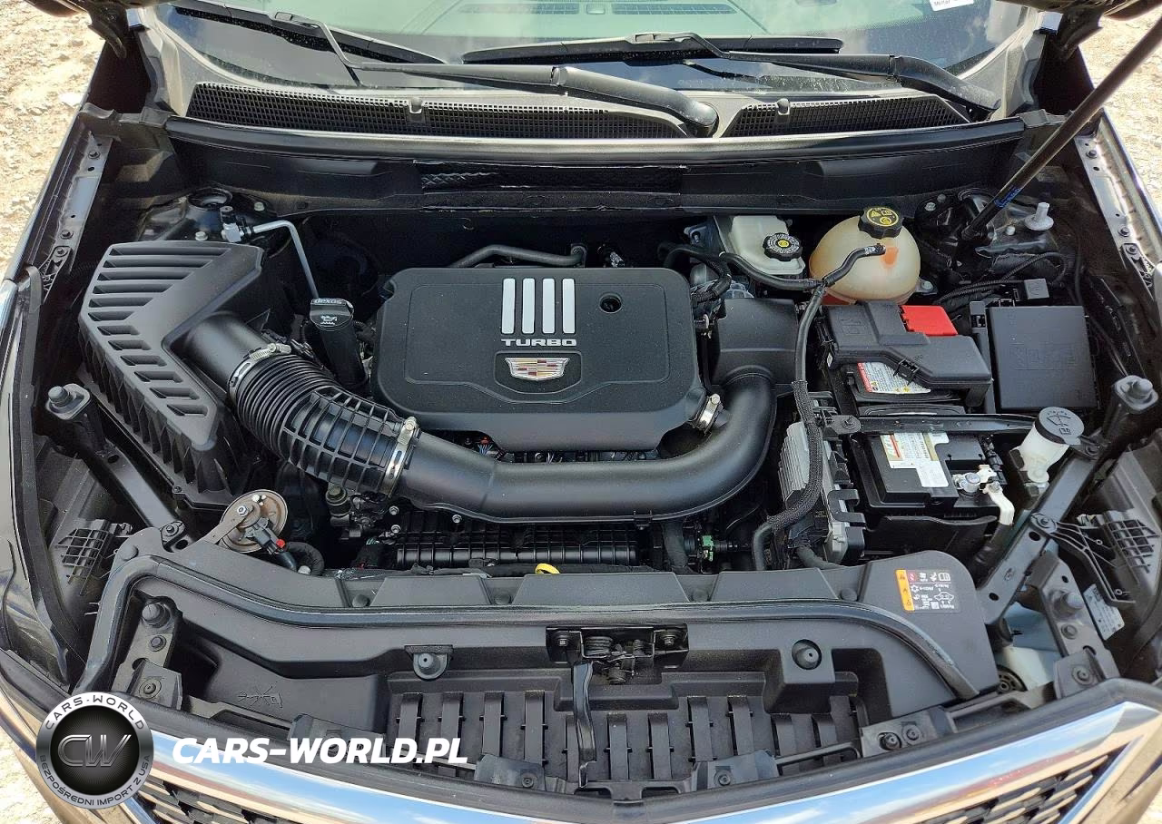2023 Cadillac Xt5 Premium Luxury VIN:1GYKNCR43PZ149486 - 12