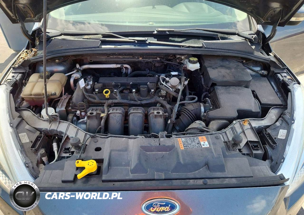 2017 Ford Focus Se VIN:1FADP3K21HL346555 - 11