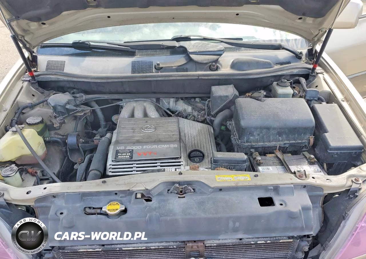 2000 Lexus Rx 300 VIN:JT6GF10UXY0077726 - 12