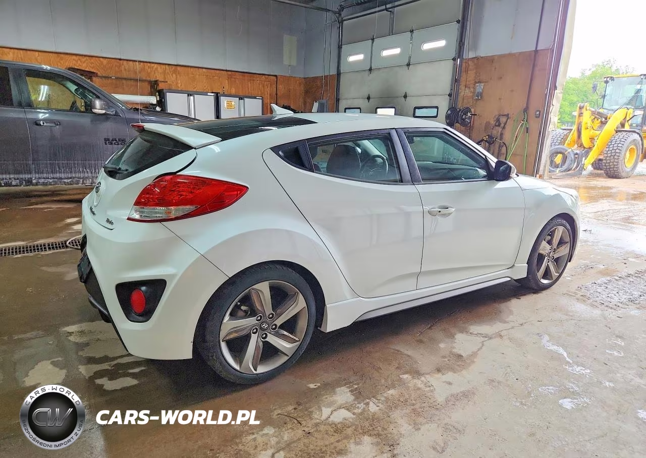 2013 Hyundai Veloster Turbo VIN:KMHTC6AE6DU084823 - 3