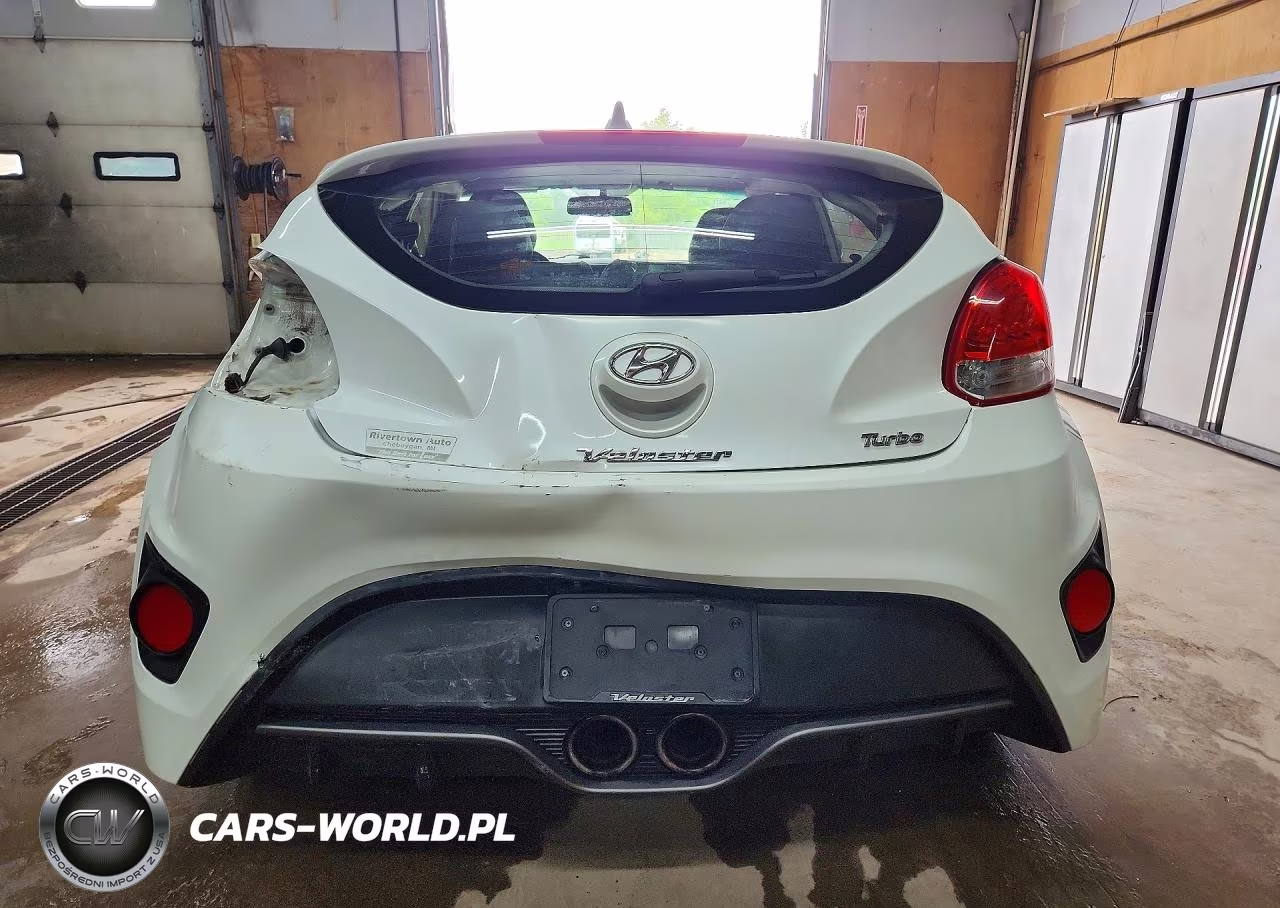 2013 Hyundai Veloster Turbo VIN:KMHTC6AE6DU084823 - 6