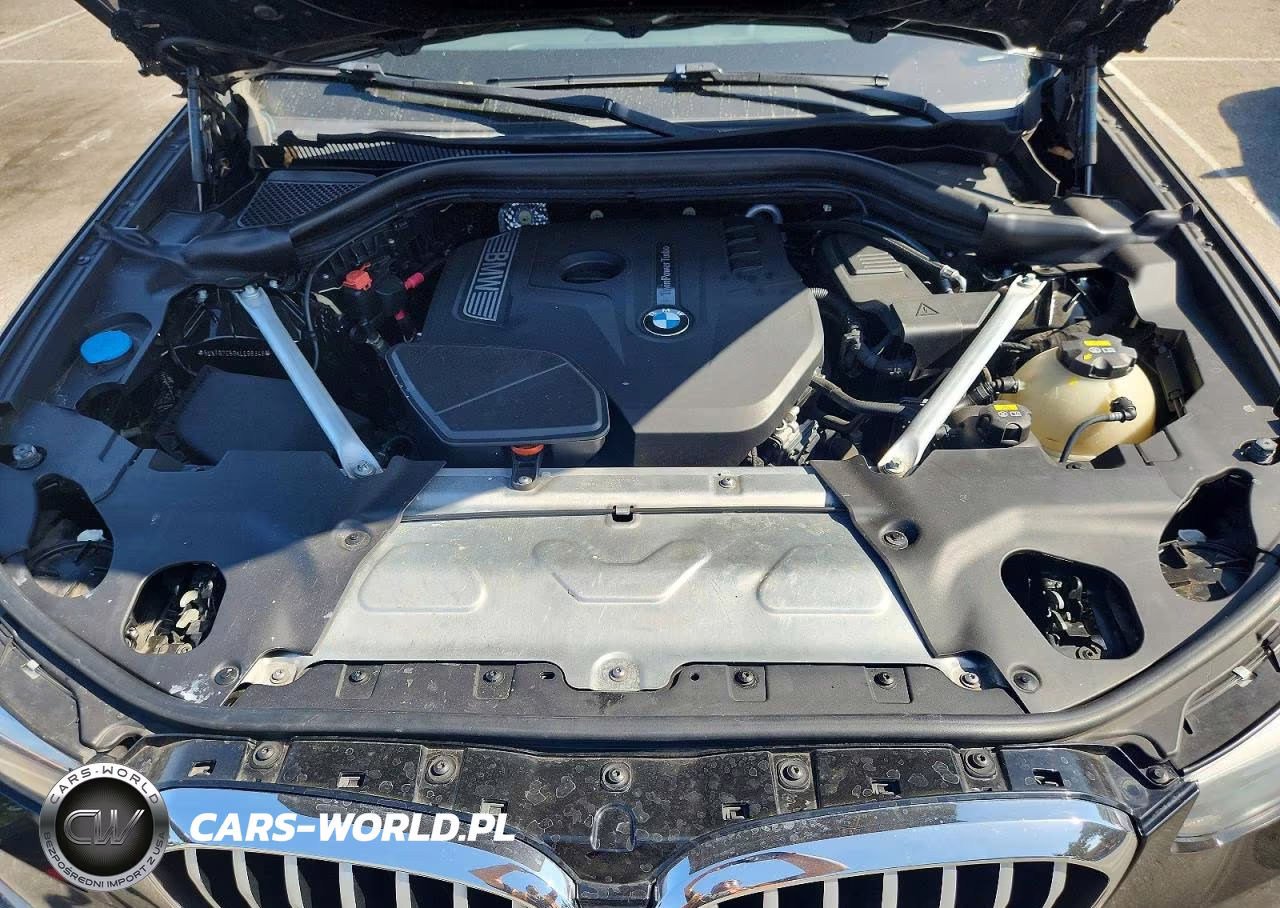 2019 BMW X3 Sdrive30I VIN:5UXTR7C59KLE98348 - 11