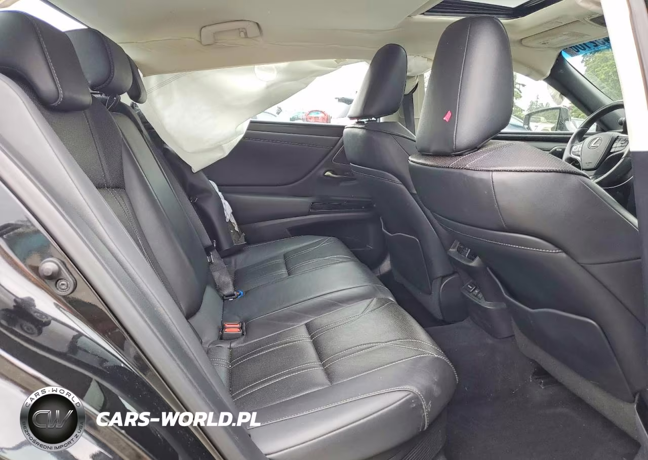 2022 Lexus Es 300H Luxury VIN:58AEA1C18NU013628 - 10