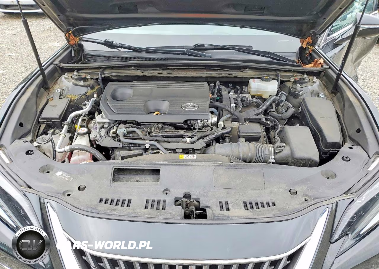 2022 Lexus Es 300H Luxury VIN:58AEA1C18NU013628 - 11