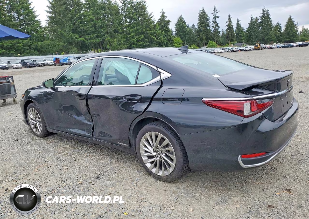 2022 Lexus Es 300H Luxury VIN:58AEA1C18NU013628 - 2