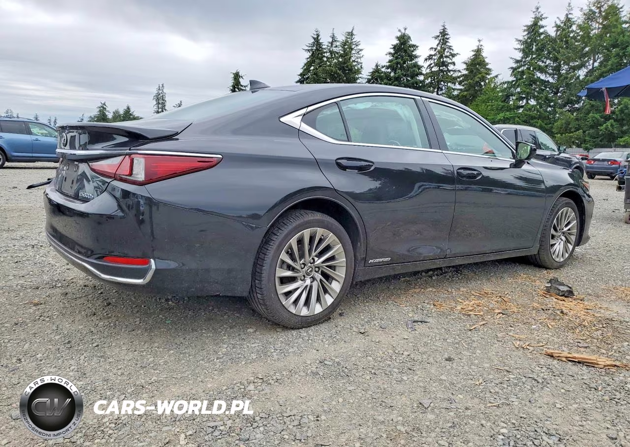 2022 Lexus Es 300H Luxury VIN:58AEA1C18NU013628 - 3