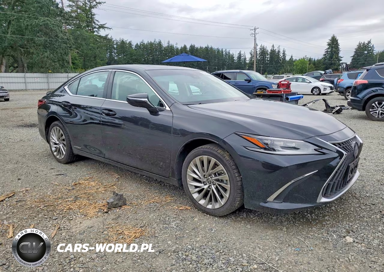 2022 Lexus Es 300H Luxury VIN:58AEA1C18NU013628 - 4