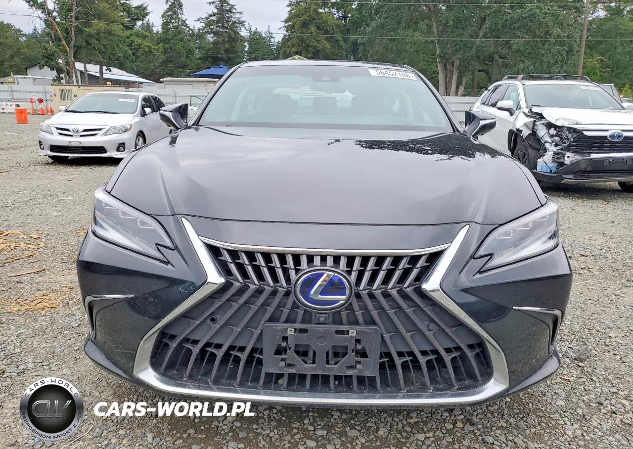 2022 Lexus Es 300H Luxury VIN:58AEA1C18NU013628 - 5