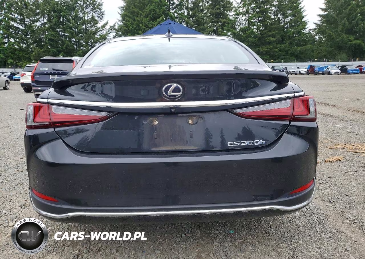 2022 Lexus Es 300H Luxury VIN:58AEA1C18NU013628 - 6