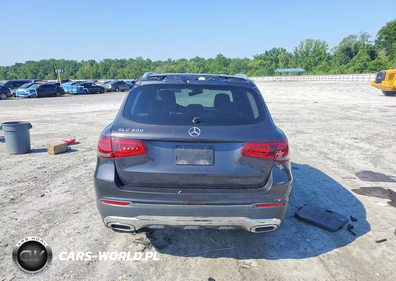 2020 Mercedes-Benz Glc 300 VIN:W1N0G8DB7LF780420 - 6