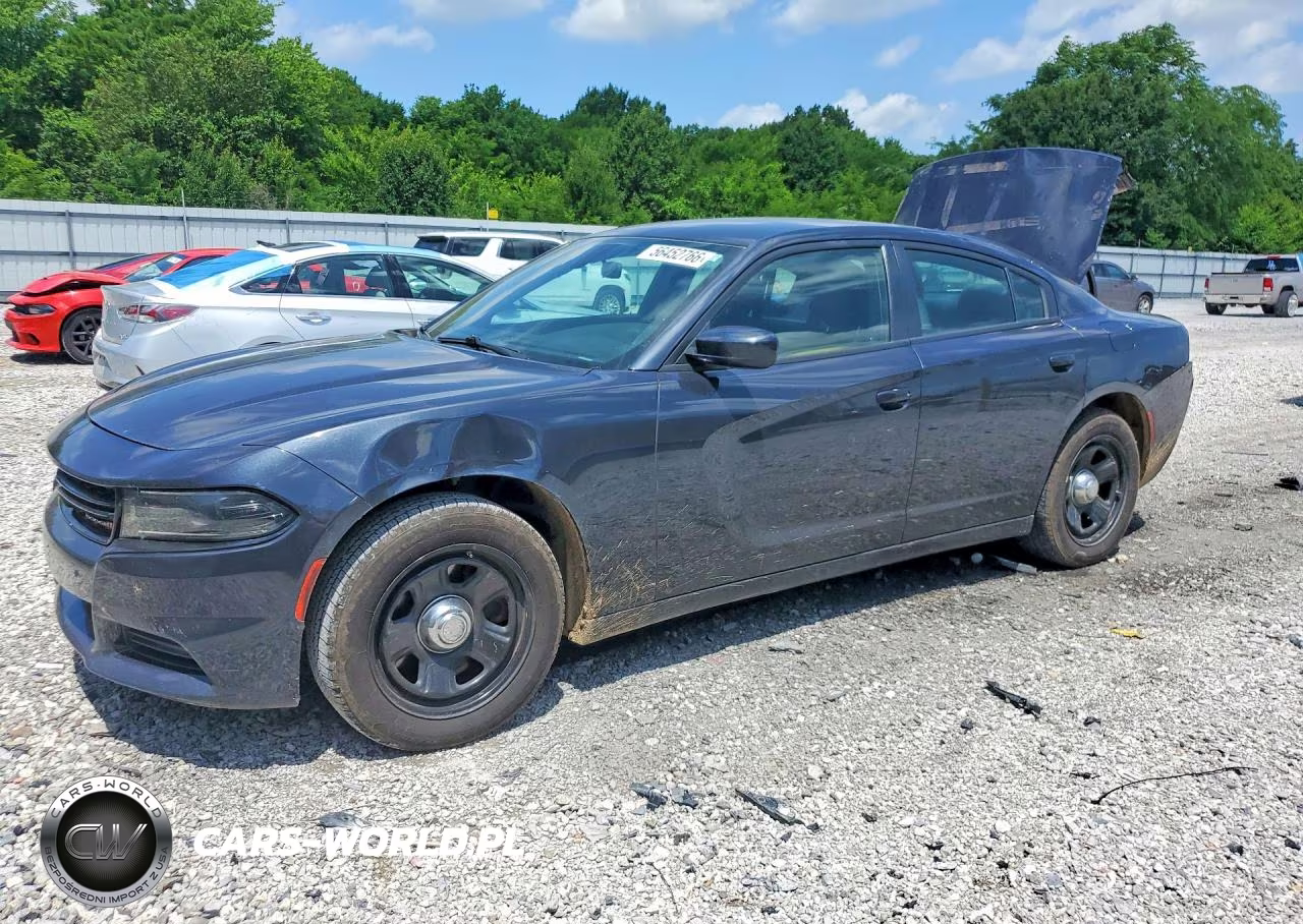 2019 Dodge Charger Police