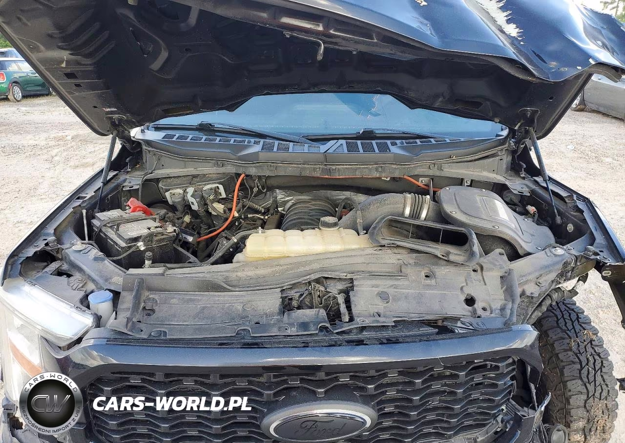 2022 Ford F150 Supercrew VIN:1FTEW1C59NKF03040 - 12
