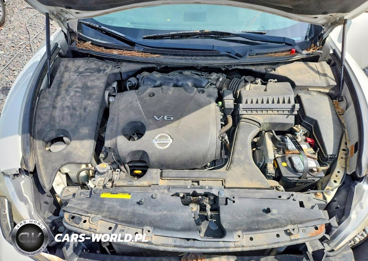 2010 Nissan Maxima S-Sv VIN:1N4AA5AP3AC862466 - 11