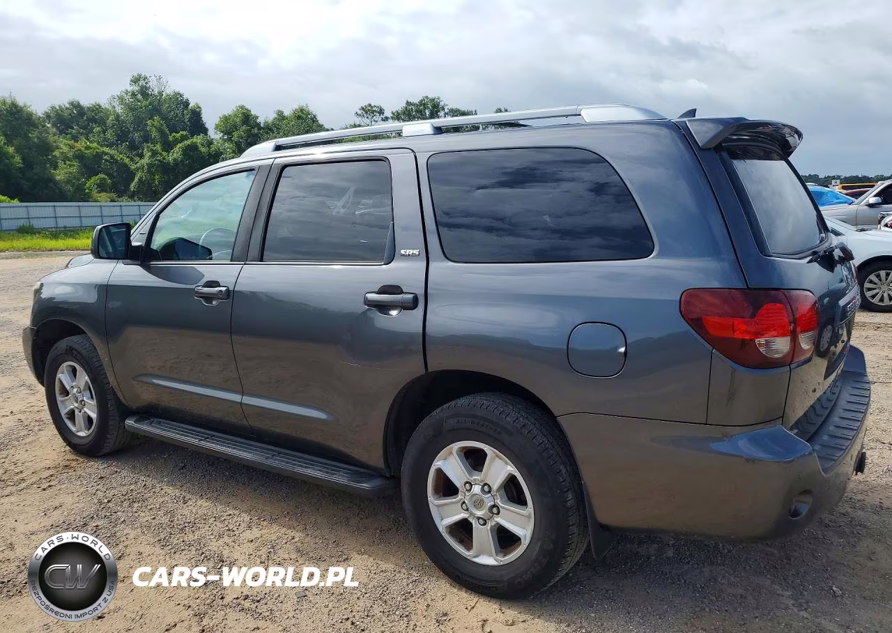 2019 Toyota Sequoia Sr5 VIN:5TDZY5G1XKS072934 - 2