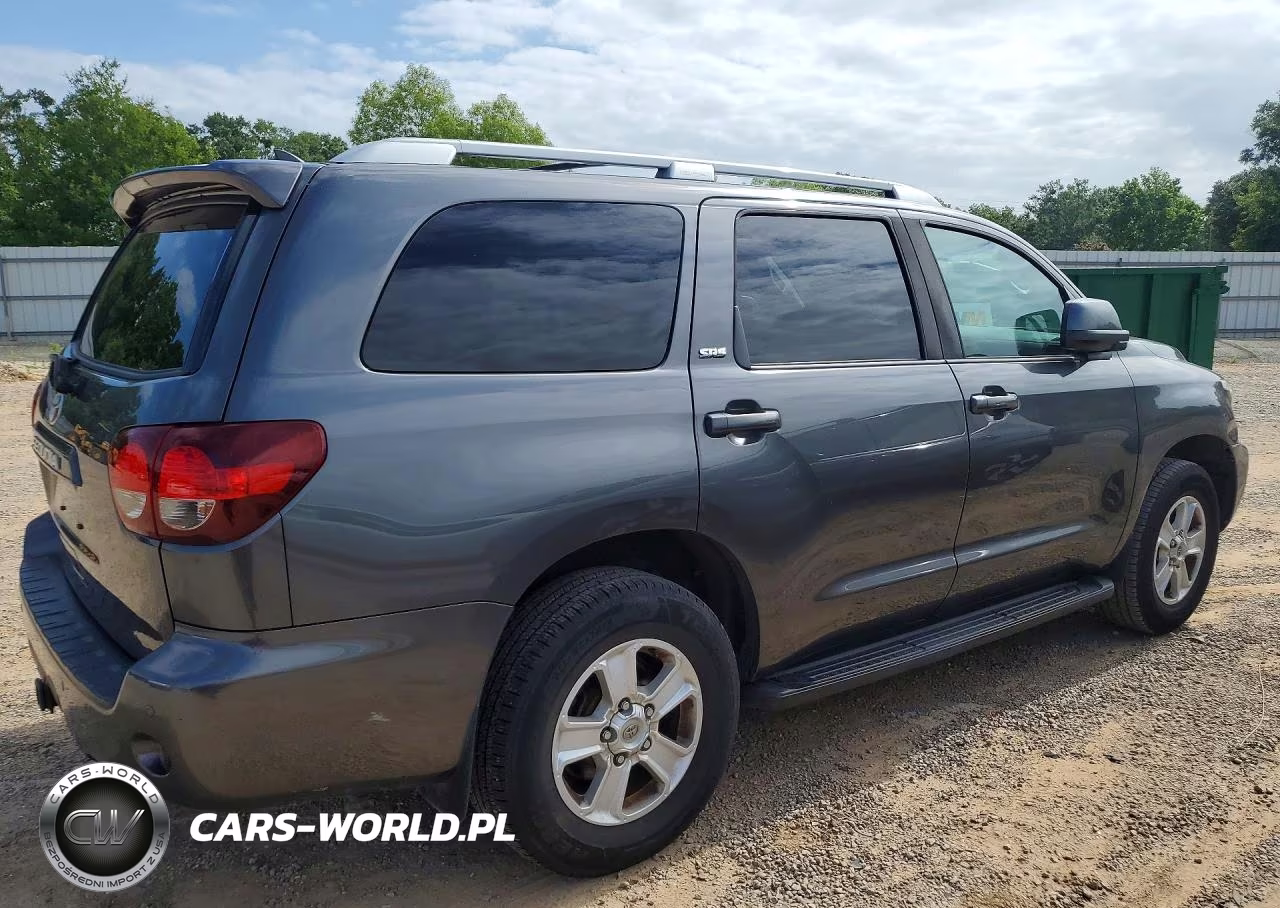 2019 Toyota Sequoia Sr5 VIN:5TDZY5G1XKS072934 - 3