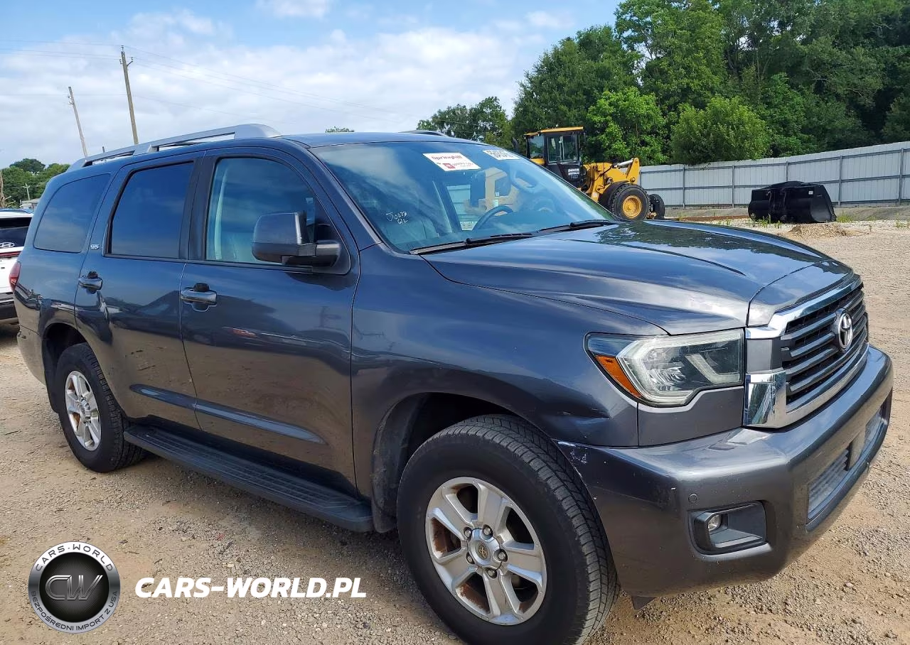2019 Toyota Sequoia Sr5 VIN:5TDZY5G1XKS072934 - 4