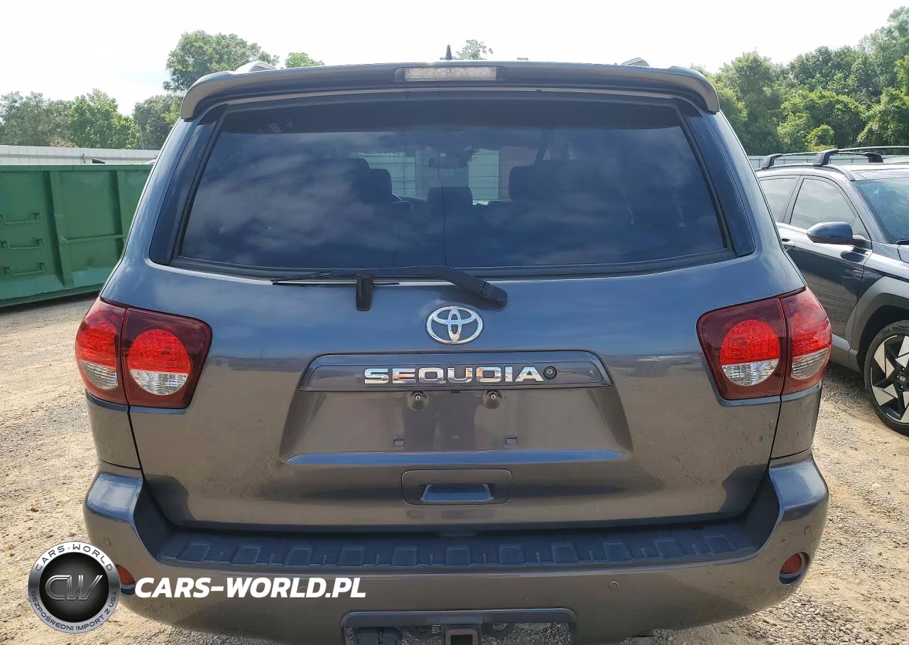 2019 Toyota Sequoia Sr5 VIN:5TDZY5G1XKS072934 - 6