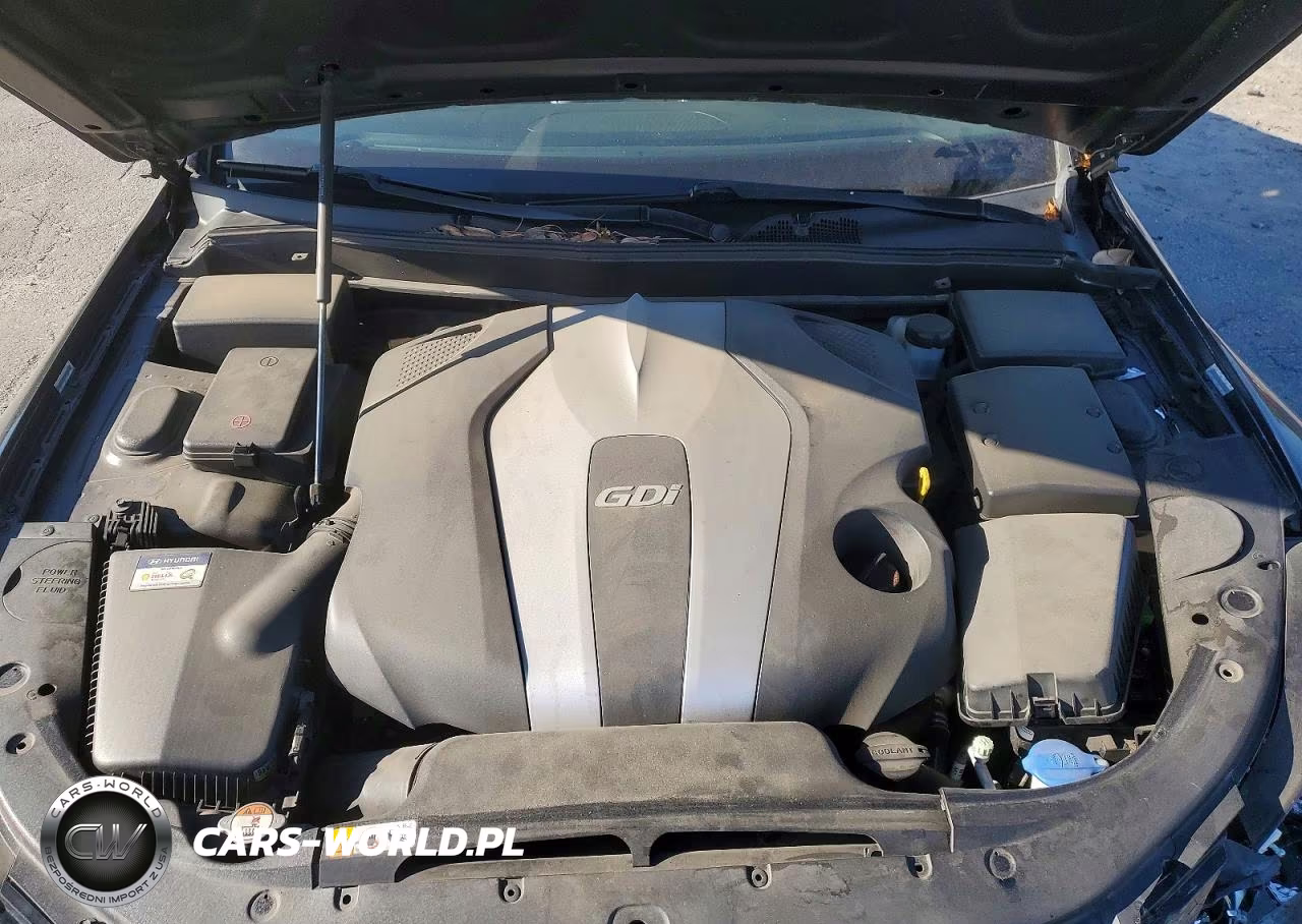 2014 Hyundai Genesis 3.8L VIN:KMHGC4DD9EU263299 - 11