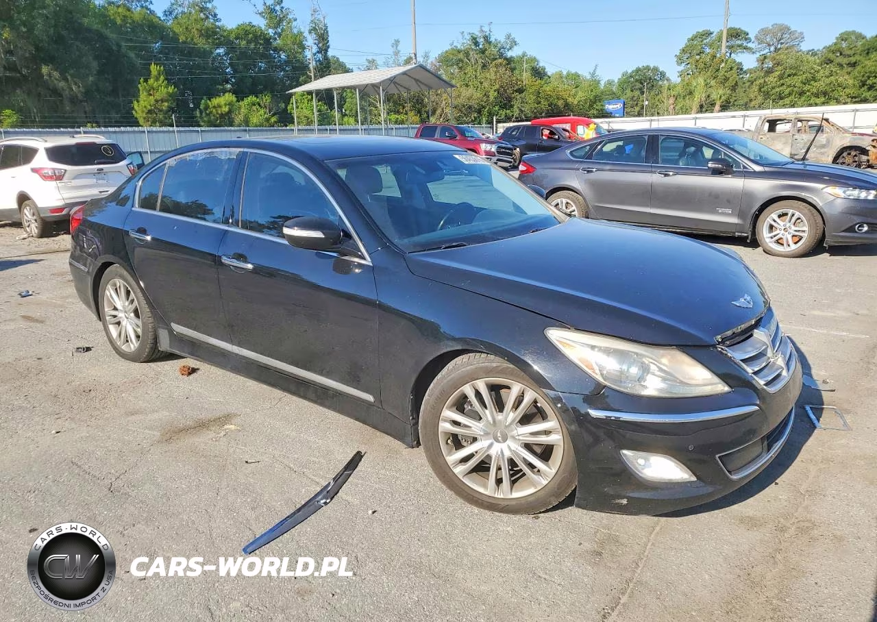 2014 Hyundai Genesis 3.8L VIN:KMHGC4DD9EU263299 - 4