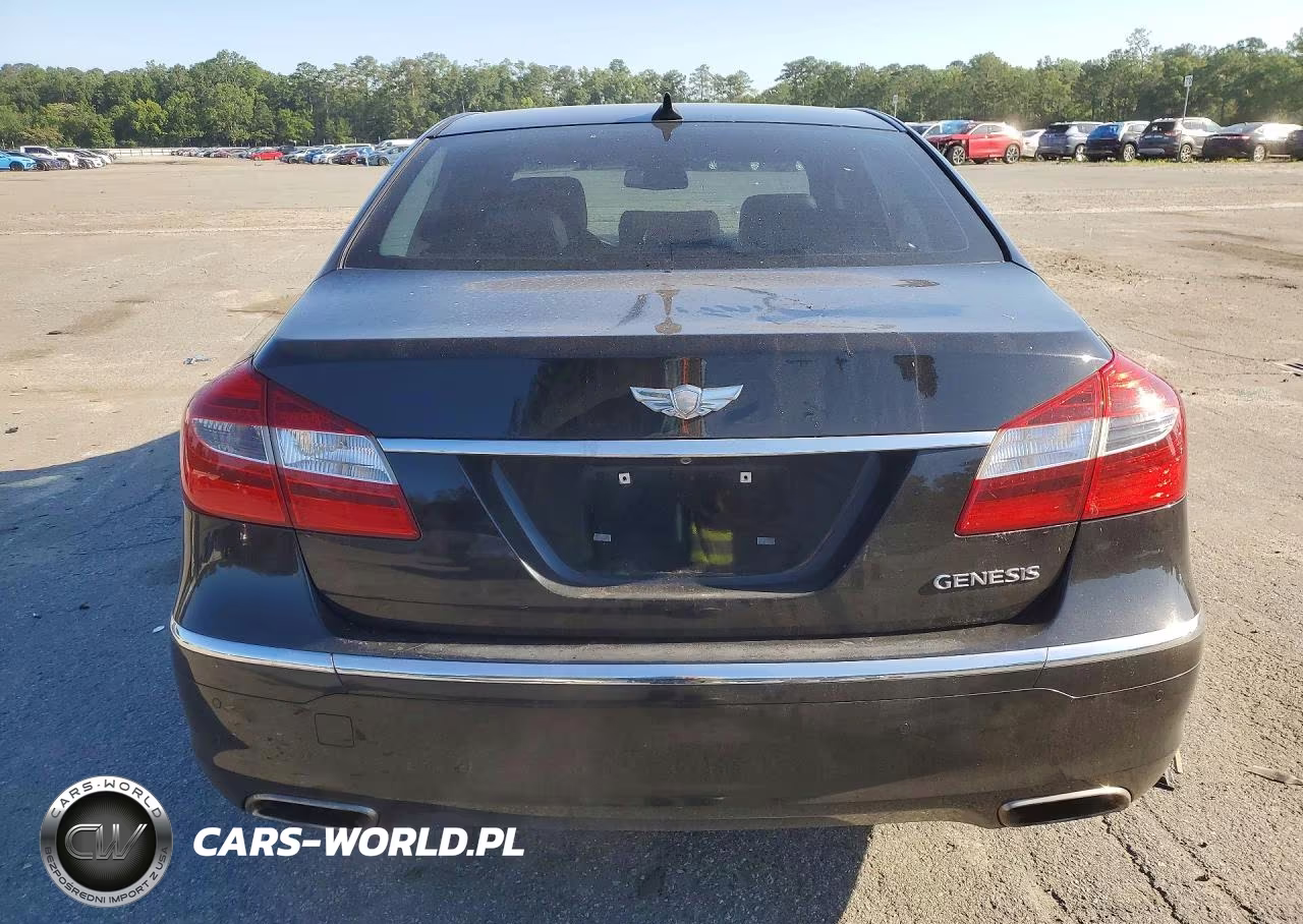 2014 Hyundai Genesis 3.8L VIN:KMHGC4DD9EU263299 - 6