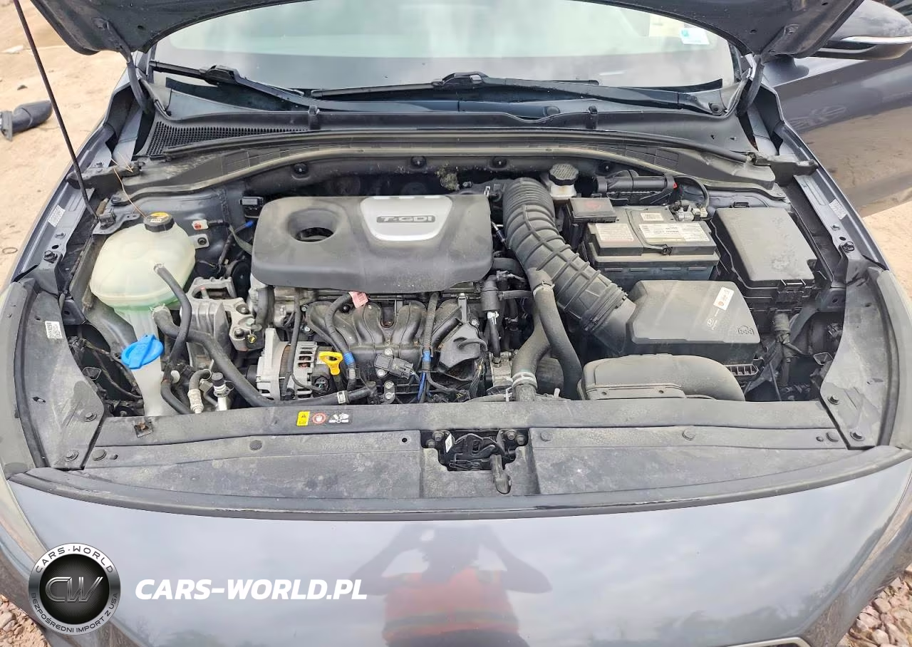 2019 Hyundai Elantra Gt N Line VIN:KMHH55LC5KU092432 - 11