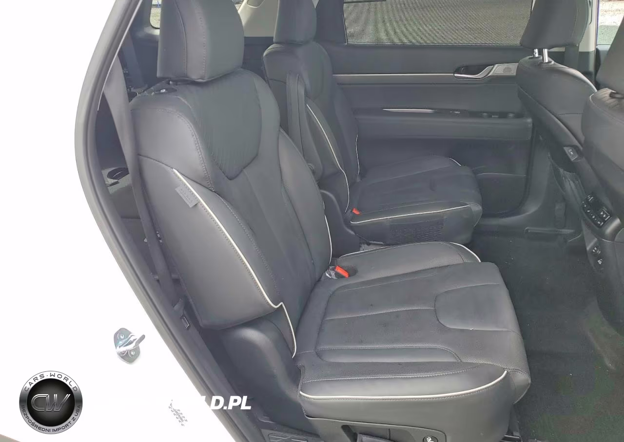 2023 Hyundai Palisade Sel Premium VIN:KM8R4DGE6PU591468 - 11