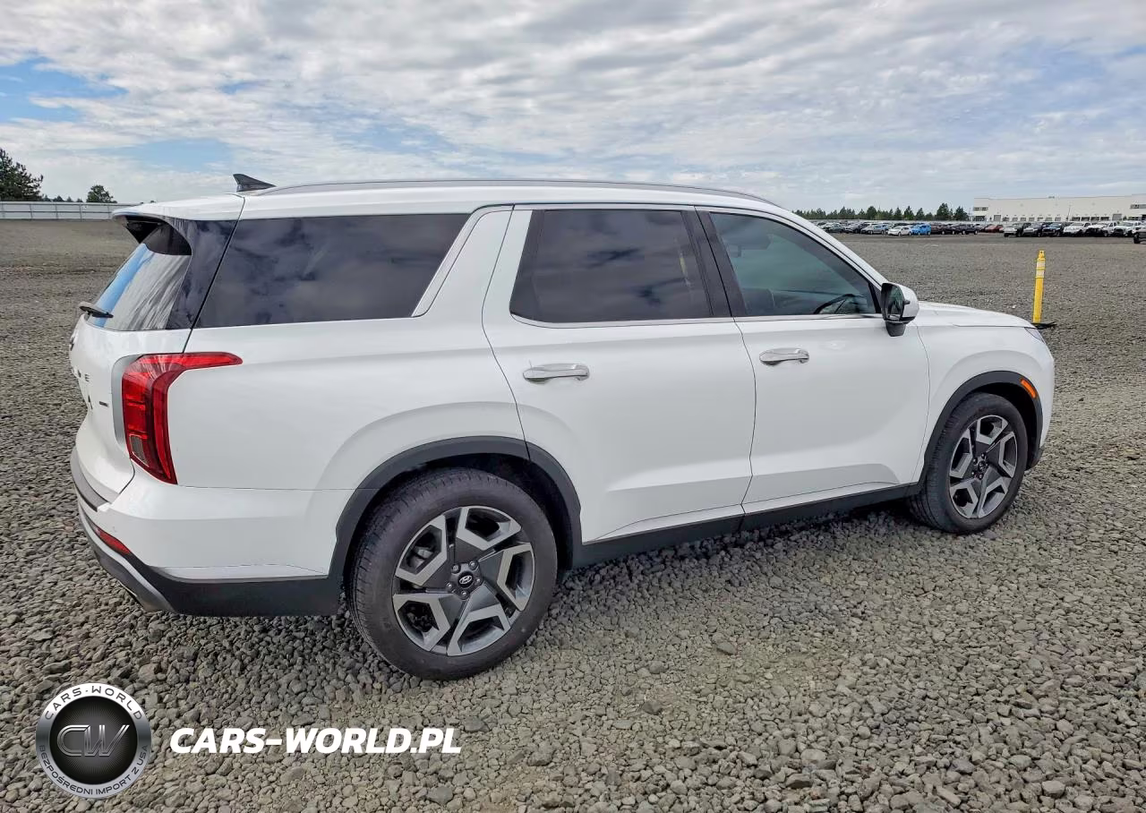 2023 Hyundai Palisade Sel Premium VIN:KM8R4DGE6PU591468 - 3