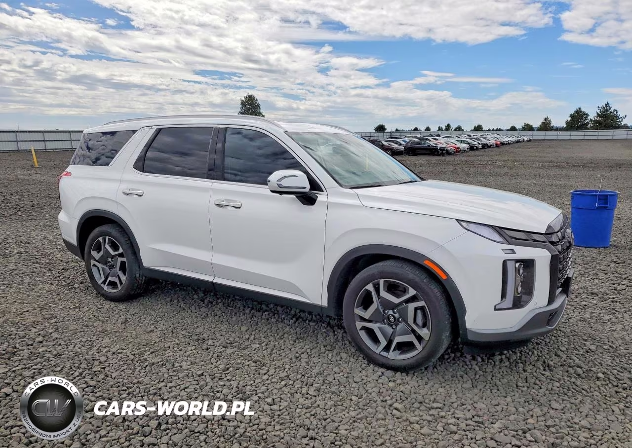2023 Hyundai Palisade Sel Premium VIN:KM8R4DGE6PU591468 - 4