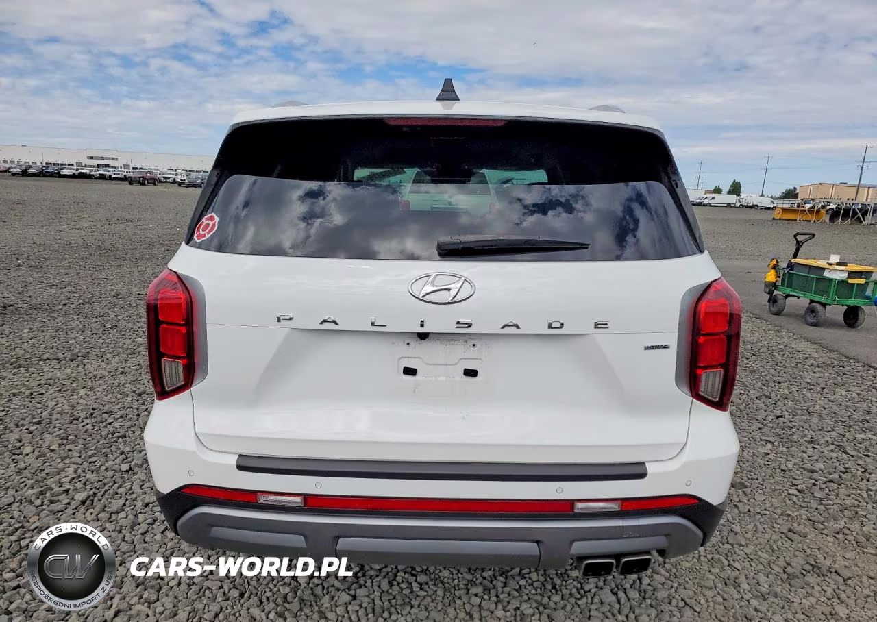2023 Hyundai Palisade Sel Premium VIN:KM8R4DGE6PU591468 - 6