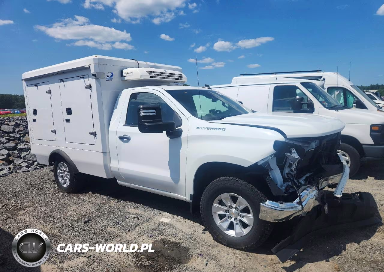 2025 Chevrolet Silverado 1500 Refrigerated Box Truck VIN:3GCNKAED9SG148938 - 4