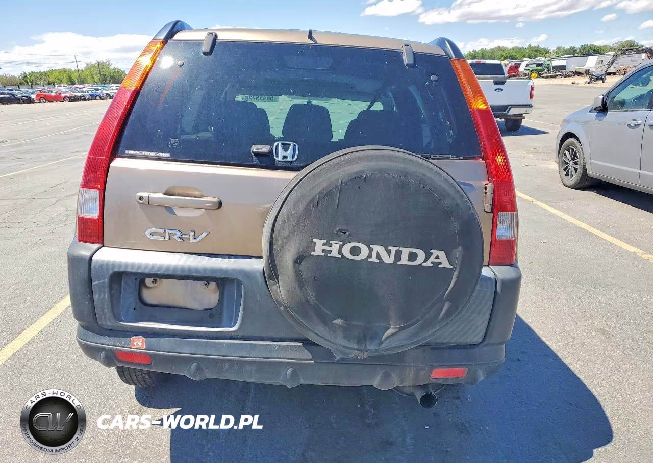 2004 Honda Cr-V Ex VIN:JHLRD78874C004875 - 6