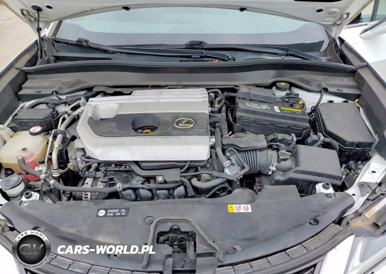 2019 Lexus Ux 200 VIN:JTHY3JBH6K2010119 - 11