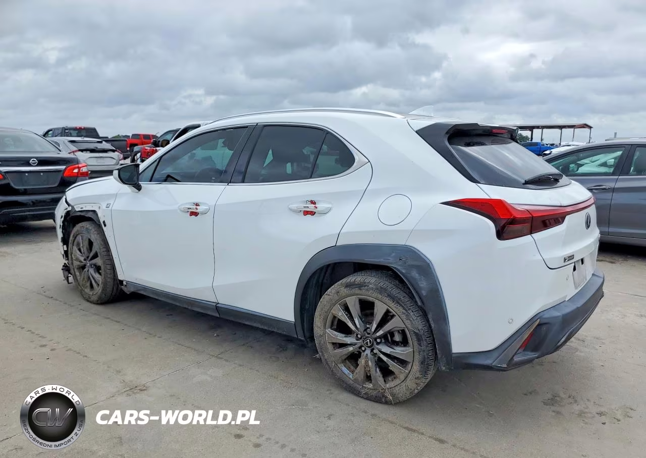 2019 Lexus Ux 200 VIN:JTHY3JBH6K2010119 - 2