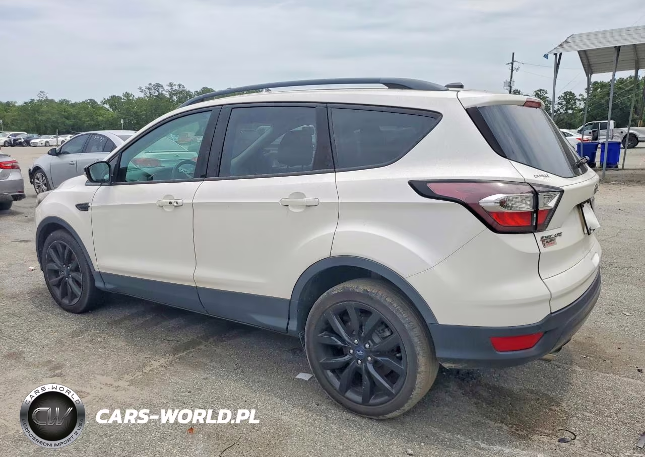 2017 Ford Escape Titanium VIN:1FMCU0J90HUF01372 - 2