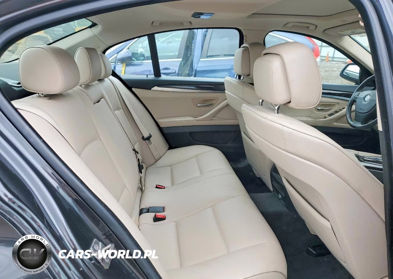 2013 BMW 528 Xi VIN:WBAXH5C59DDW12950 - 10