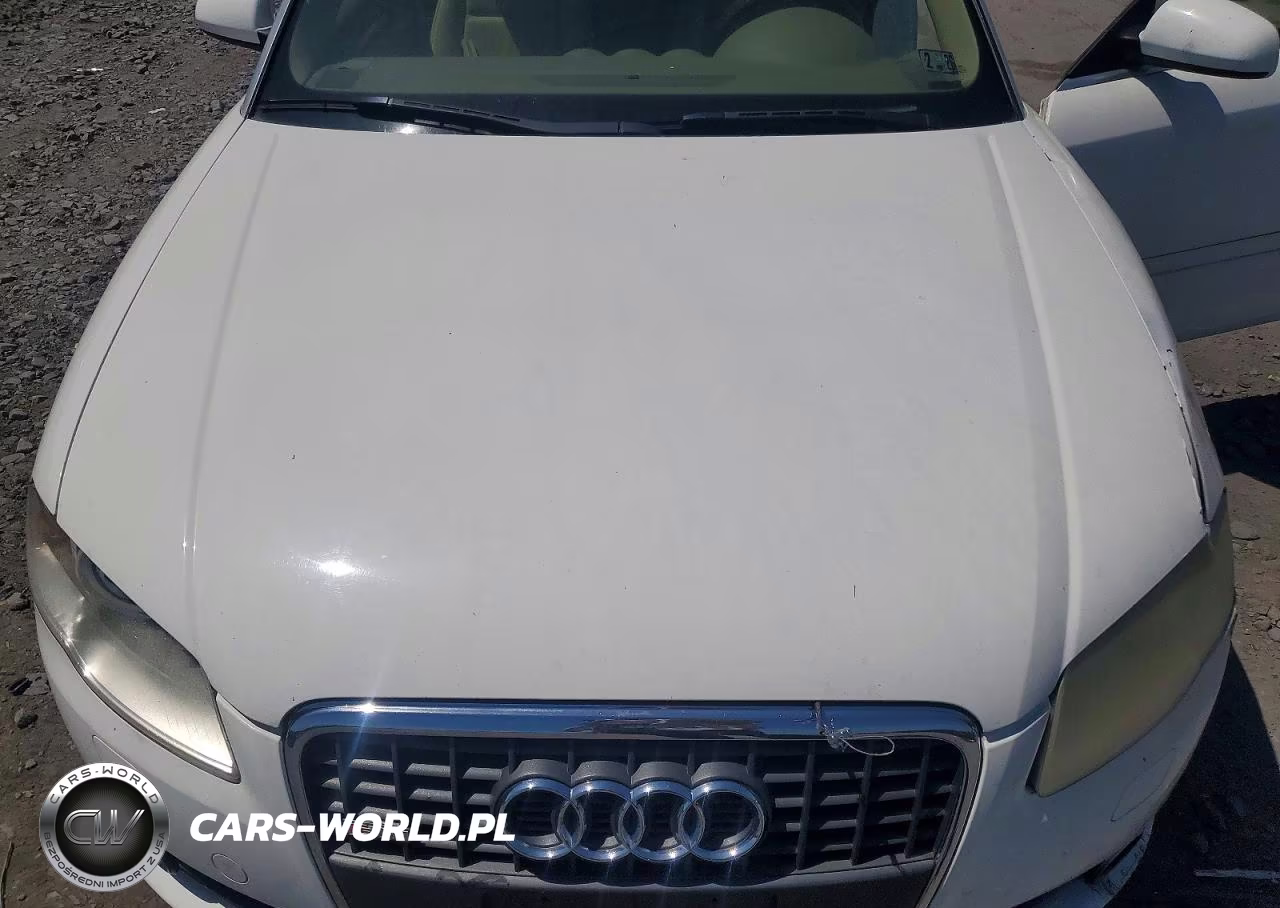 2009 Audi A4 2.0T Cabriolet Quattro VIN:WAUDF48H59K004397 - 11