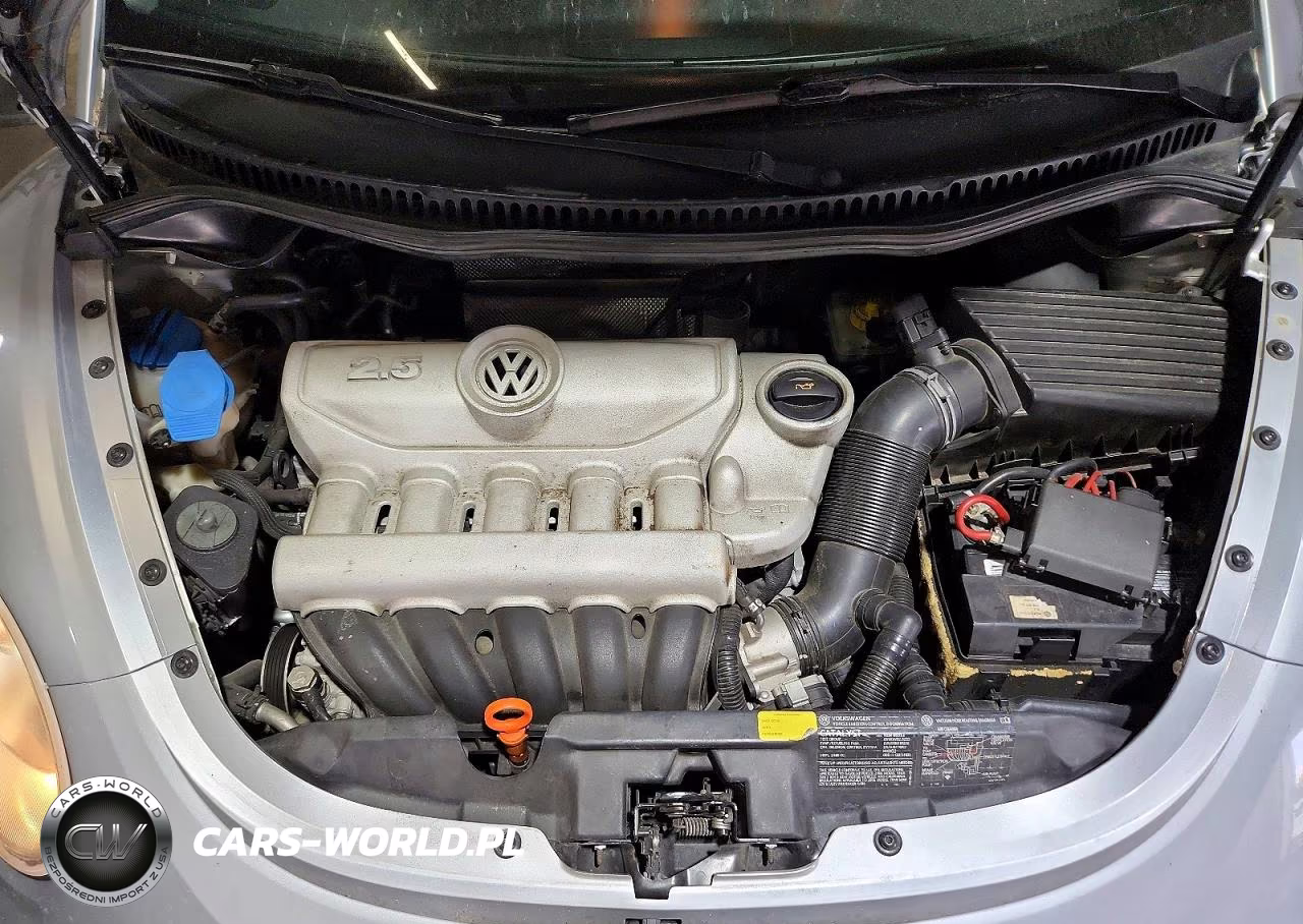 2006 Volkswagen New Beetle 2.5L Option Package 1 VIN:3VWRW31C46M407421 - 11