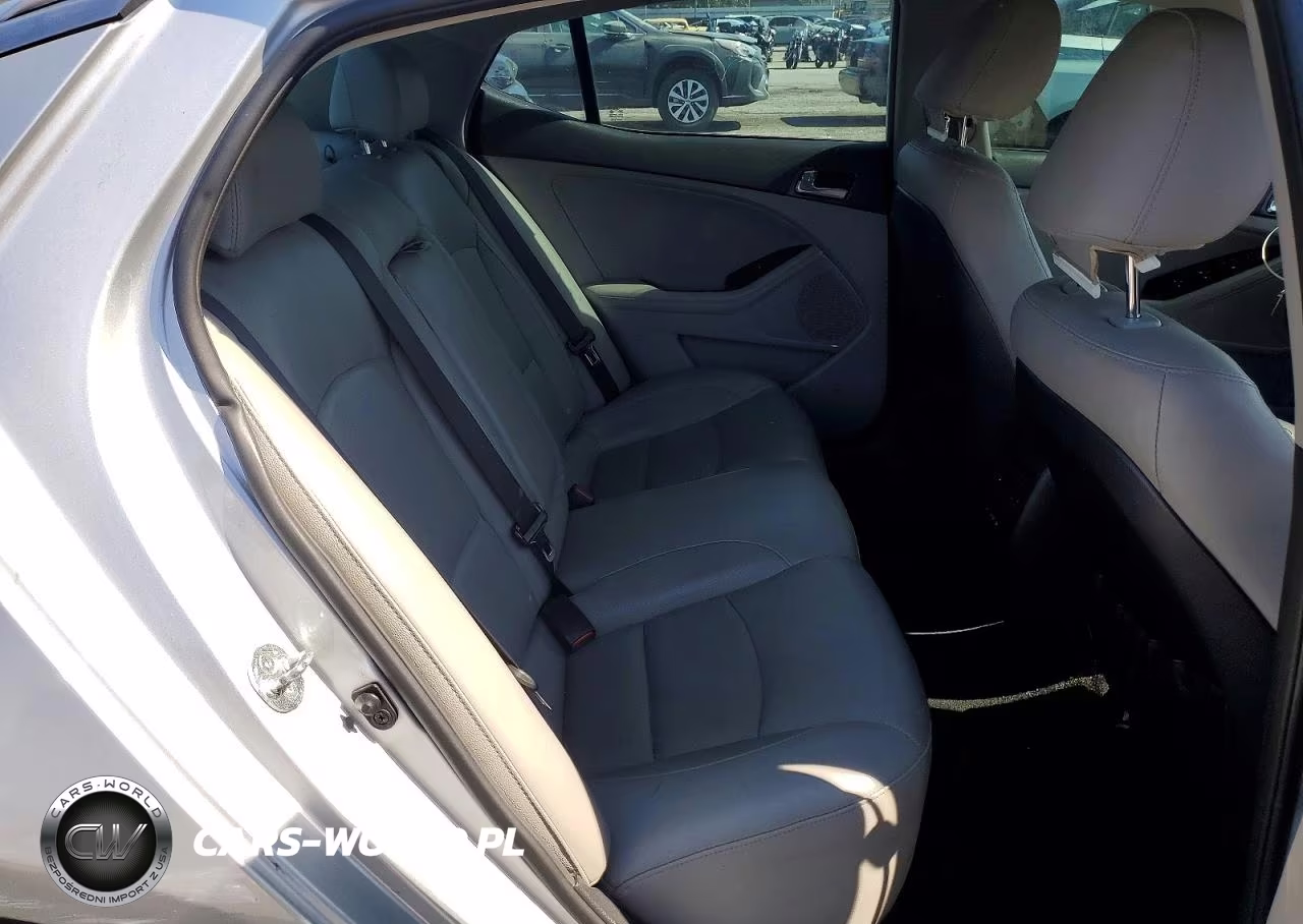 2014 Kia Optima Ex VIN:5XXGN4A76EG301624 - 10
