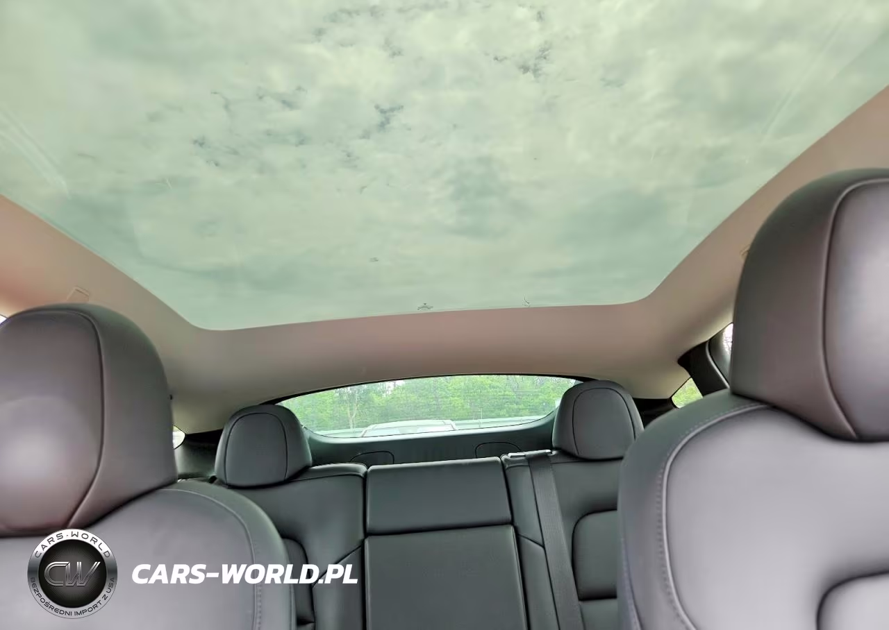 2023 Tesla Model Y VIN:7SAYGDEE1PA043249 - 10