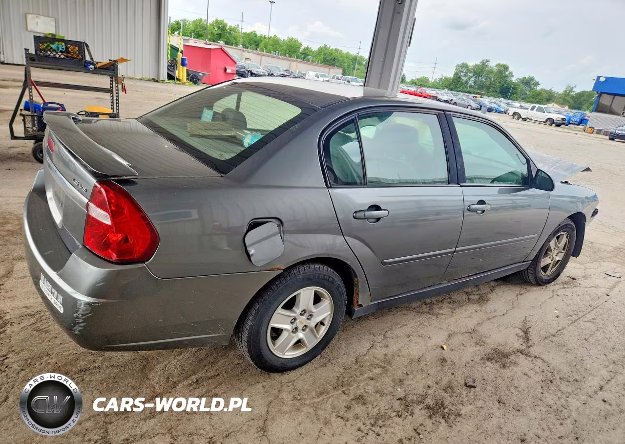 2004 Chevrolet Malibu Ls VIN:1G1ZT548X4F150091 - 3